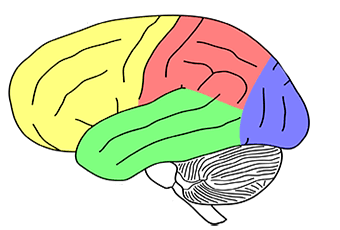 Klinische Neoropsychologie 